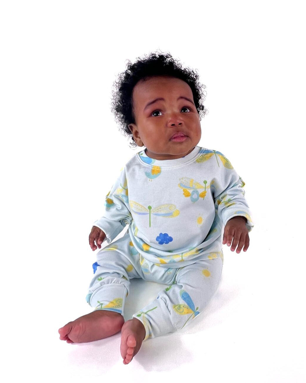 Top and Bottom Playset: Dragonflies and Tweety Birds