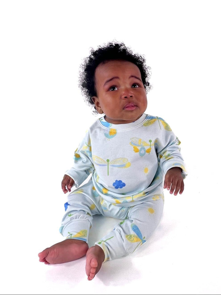 Gift Set: Dragonflies and Tweety Birds