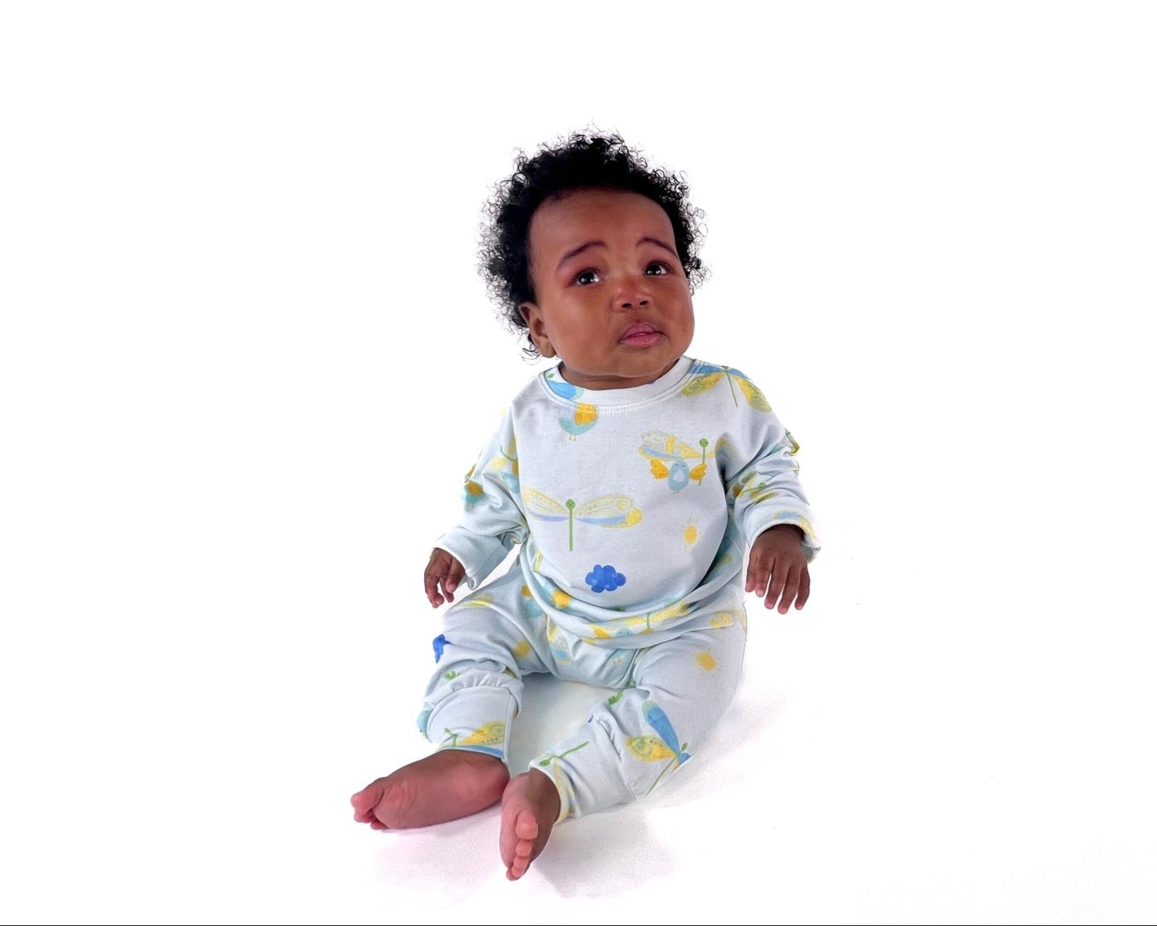 Gift Set: Dragonflies and Tweety Birds