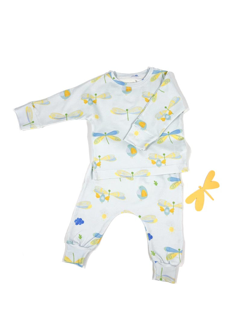 Gift Set: Dragonflies and Tweety Birds