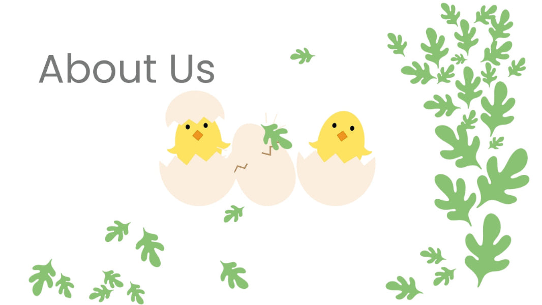 Illustration of baby chicks and cracked eggs with green leaves on a white background, labeled 'About Us'.
